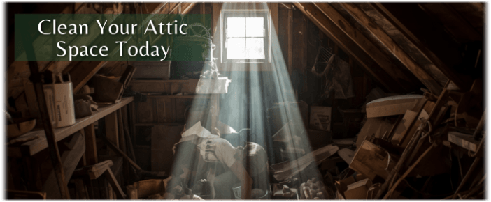 Attic Cleaning Arlington VA